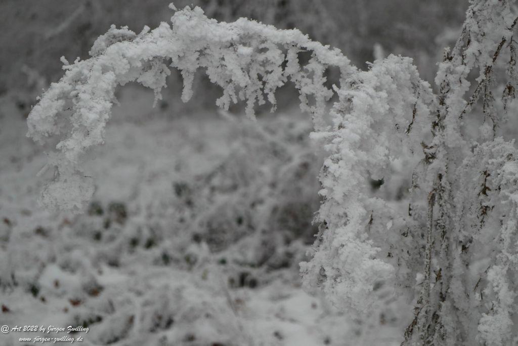 Winter Wonderland Rheinhessen - Hackenheim