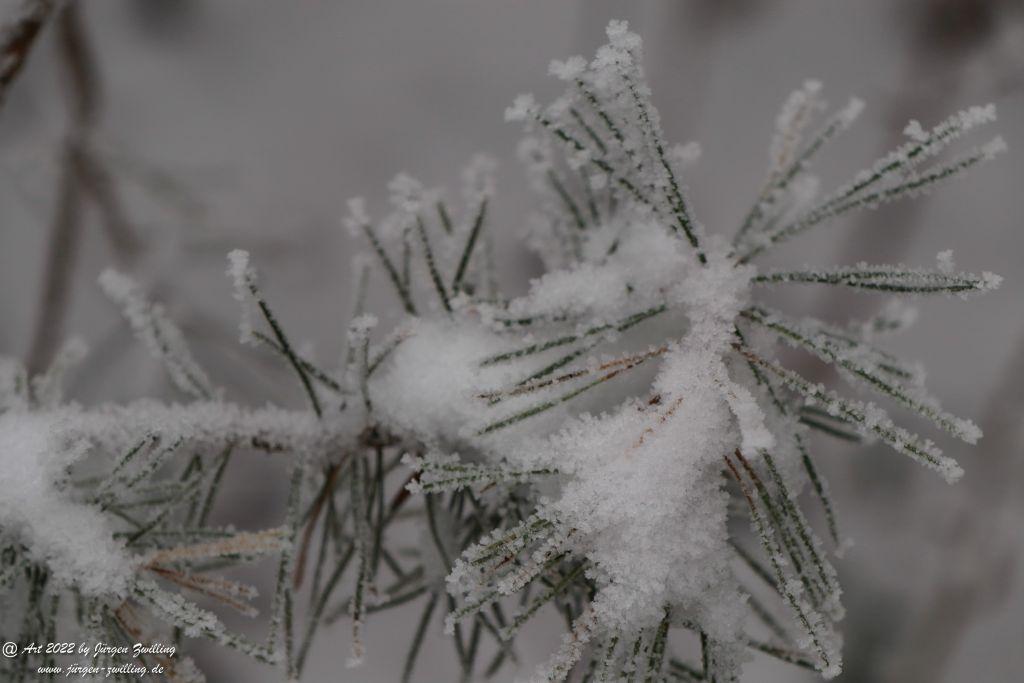 Winter Wonderland Rheinhessen - Hackenheim