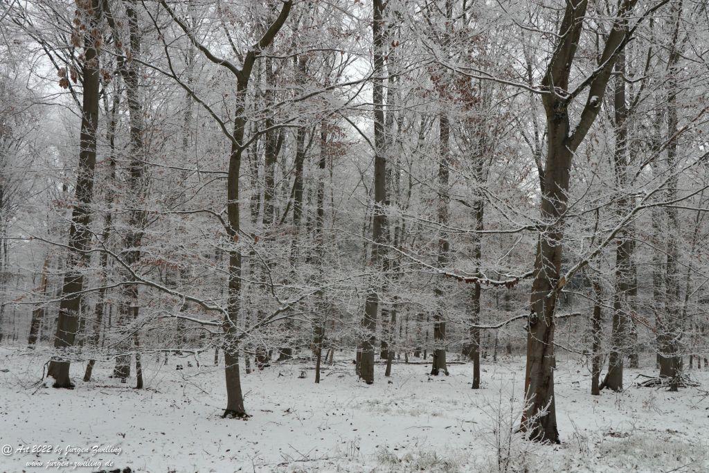 Winter Wonderland Rheinhessen - Hackenheim