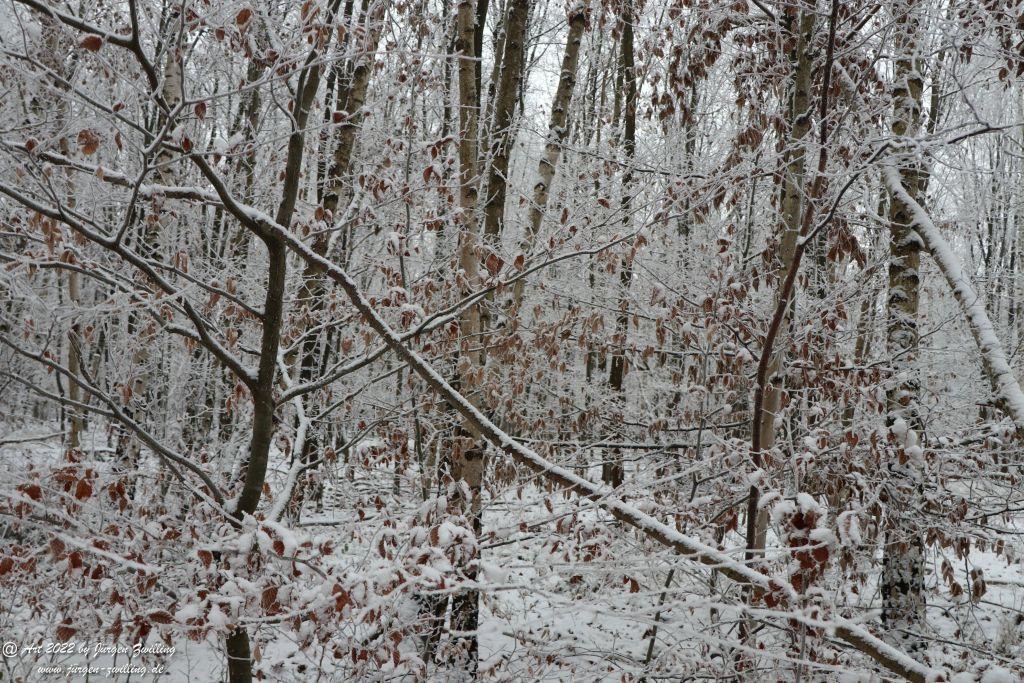 Winter Wonderland Rheinhessen - Hackenheim
