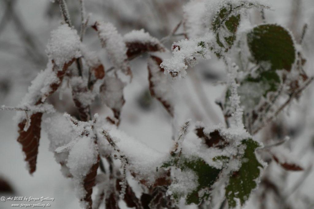 Winter Wonderland Rheinhessen - Hackenheim