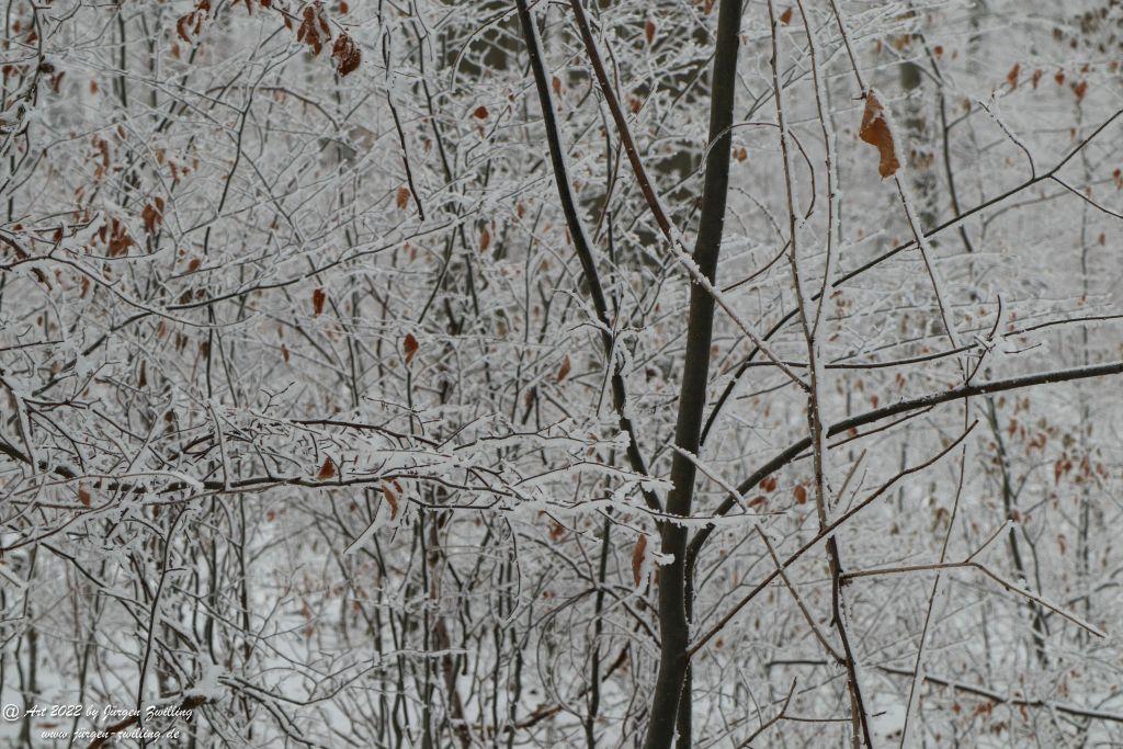 Winter Wonderland Rheinhessen - Hackenheim
