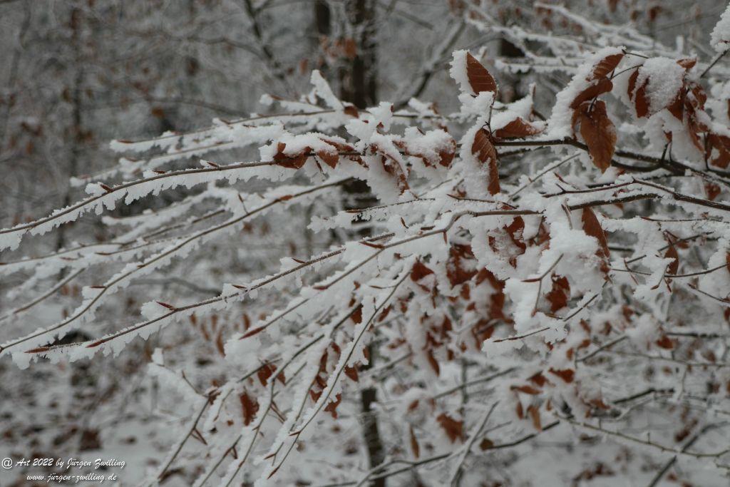 Winter Wonderland Rheinhessen - Hackenheim
