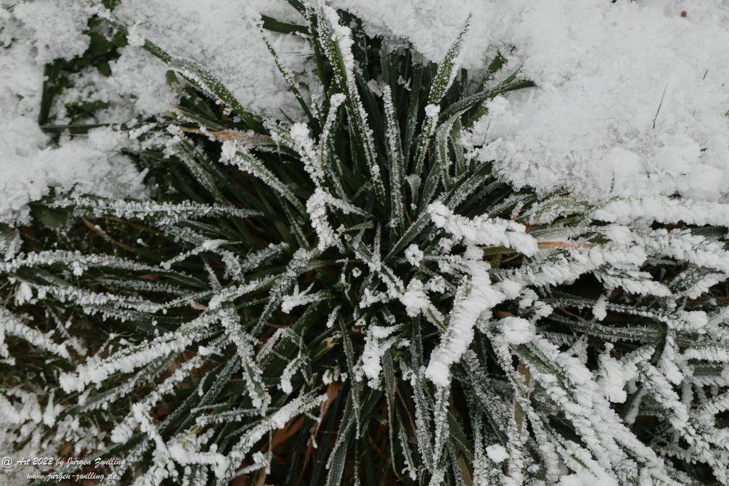 Winter Wonderland Rheinhessen - Hackenheim