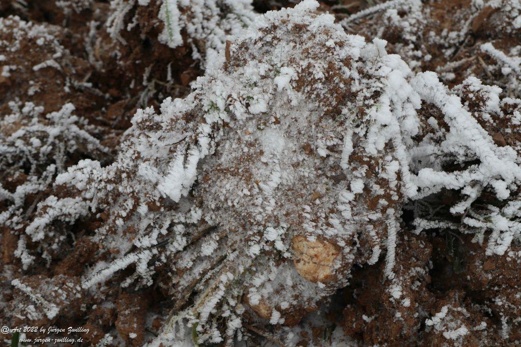 Winter Wonderland Rheinhessen - Hackenheim