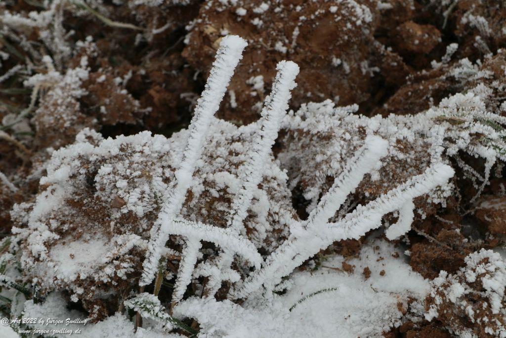 Winter Wonderland Rheinhessen - Hackenheim