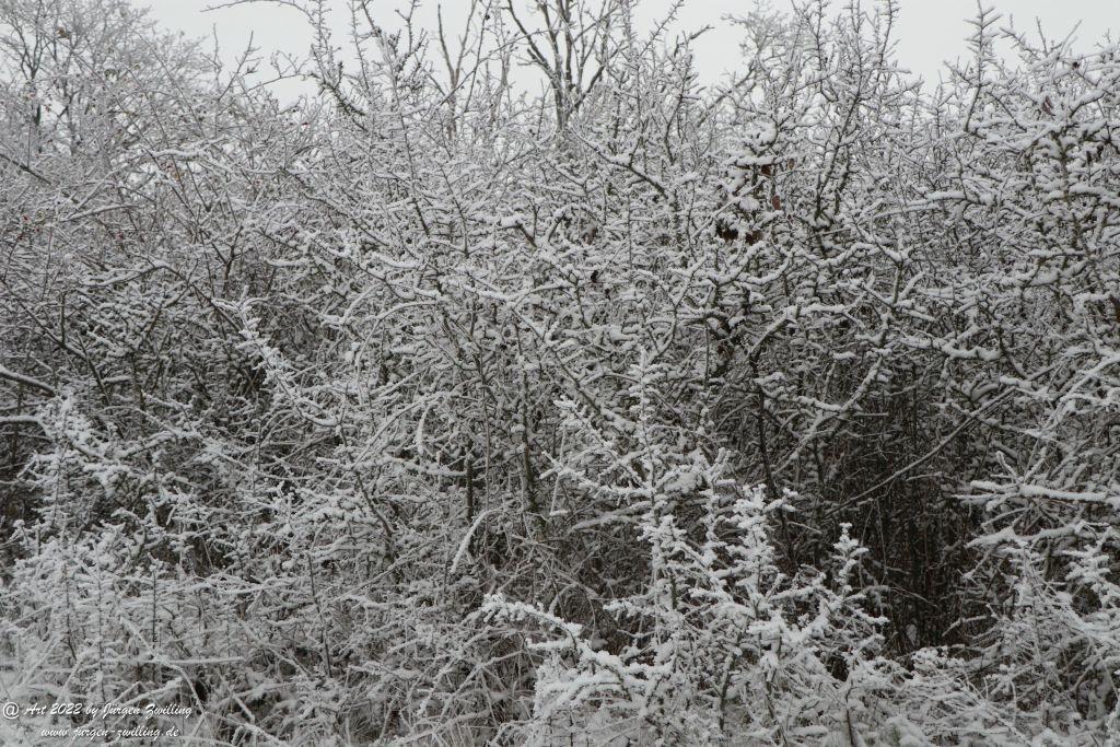 Winter Wonderland Rheinhessen - Hackenheim