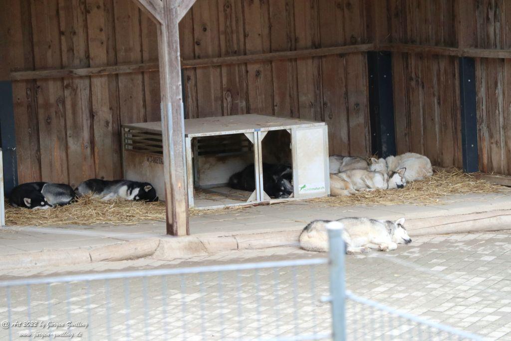 Tier-Erlebnispark Bell - Hunsrück