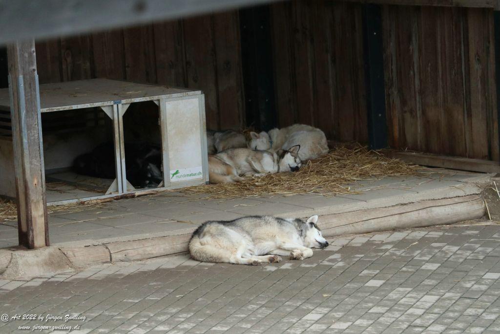 Tier-Erlebnispark Bell - Hunsrück