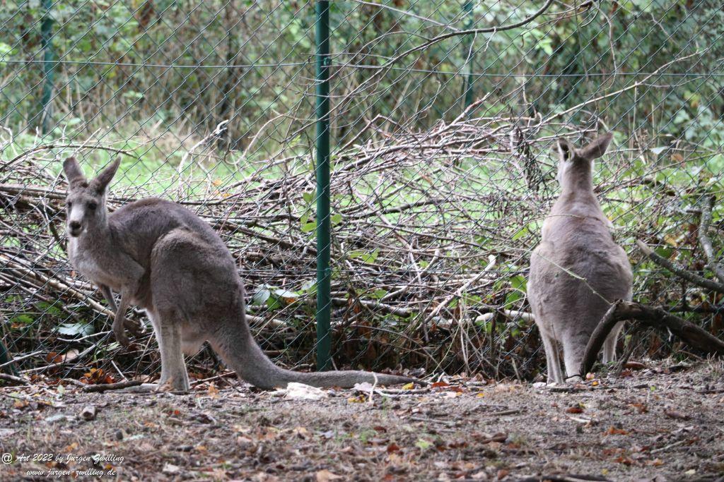 Tier-Erlebnispark Bell - Hunsrück