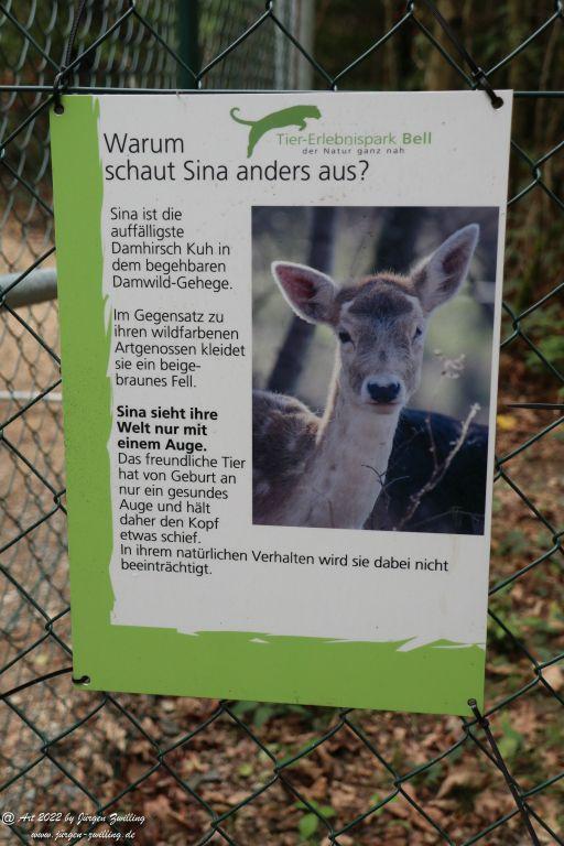 Tier-Erlebnispark Bell - Hunsrück