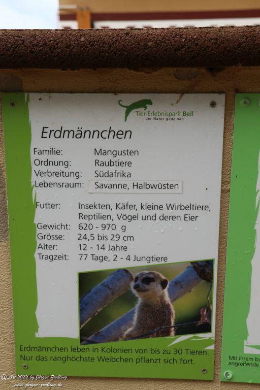 Tier-Erlebnispark Bell - Hunsrück