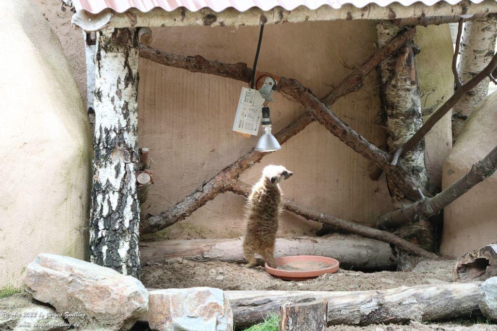 Tier-Erlebnispark Bell - Hunsrück