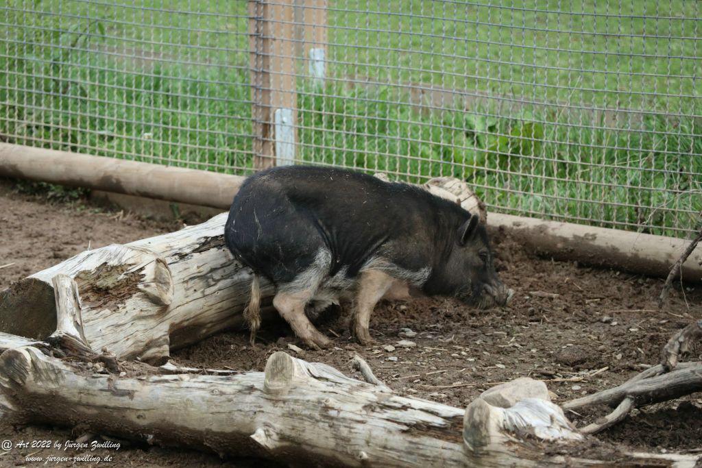 Tier-Erlebnispark Bell - Hunsrück