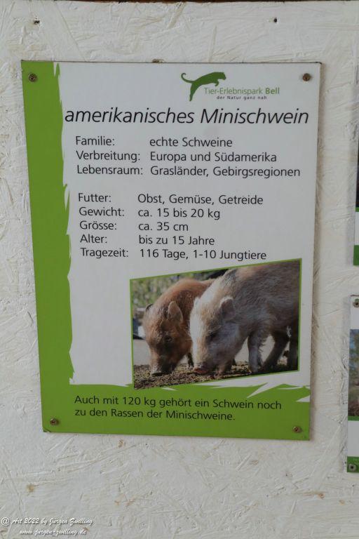 Tier-Erlebnispark Bell - Hunsrück