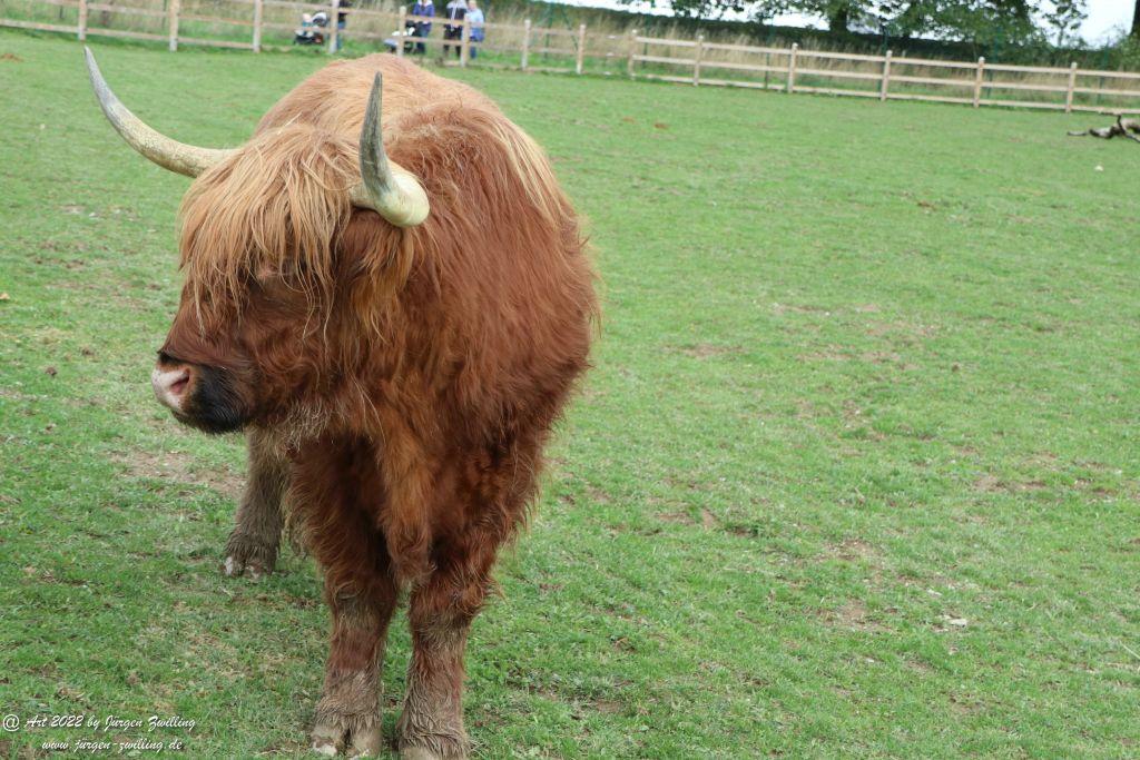 Tier-Erlebnispark Bell - Hunsrück