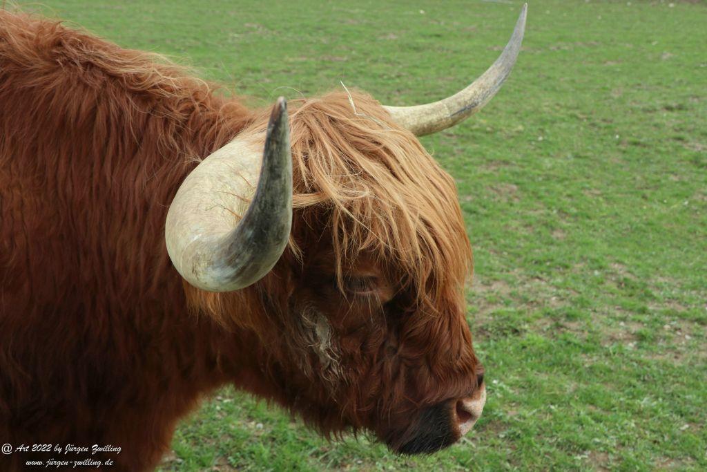 Tier-Erlebnispark Bell - Hunsrück