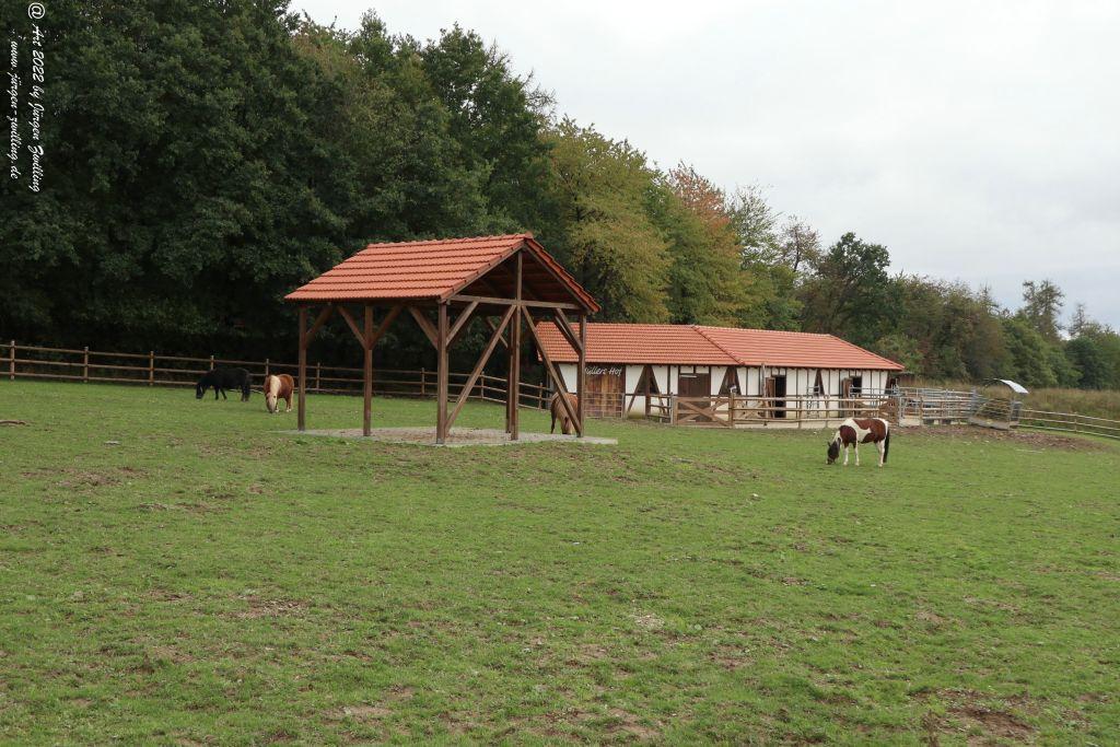 Tier-Erlebnispark Bell - Hunsrück