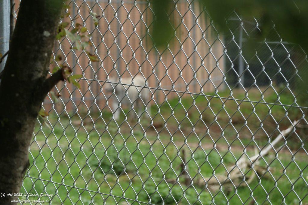 Tier-Erlebnispark Bell - Hunsrück