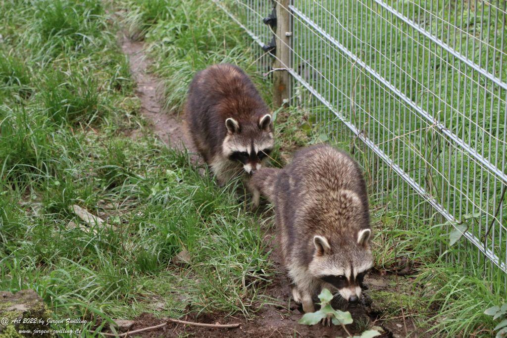 Tier-Erlebnispark Bell - Hunsrück