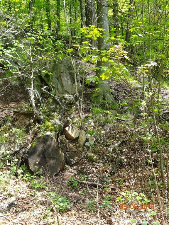 Philosophische Bildwanderung Modautaler Weitblickweg