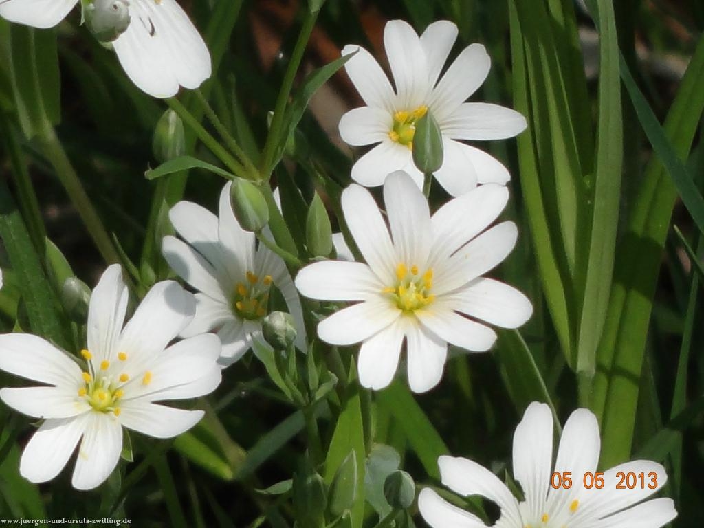 Philosophische Bildwanderung Modautaler Weitblickweg