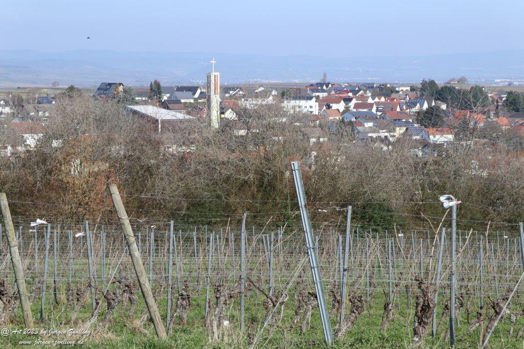 März Weinberge 2023 - Hackenheim - Rheinhessen