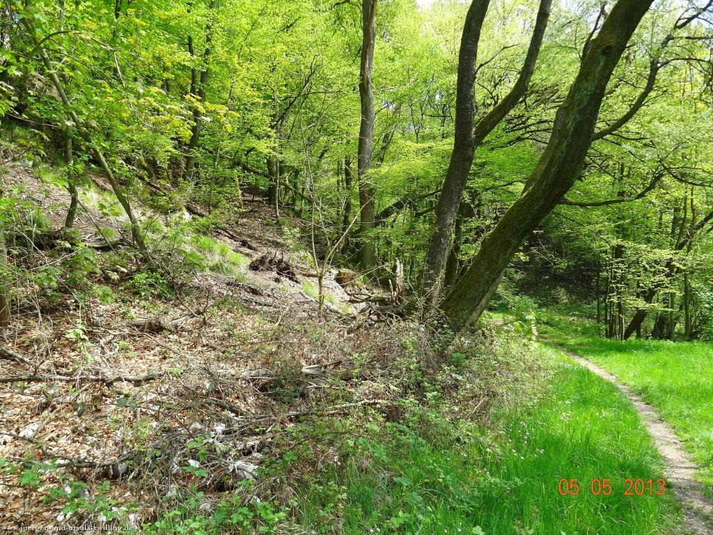 Philosophische Bildwanderung Modautaler Weitblickweg