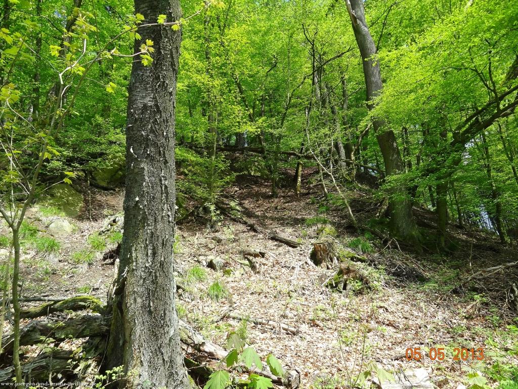 Philosophische Bildwanderung Modautaler Weitblickweg