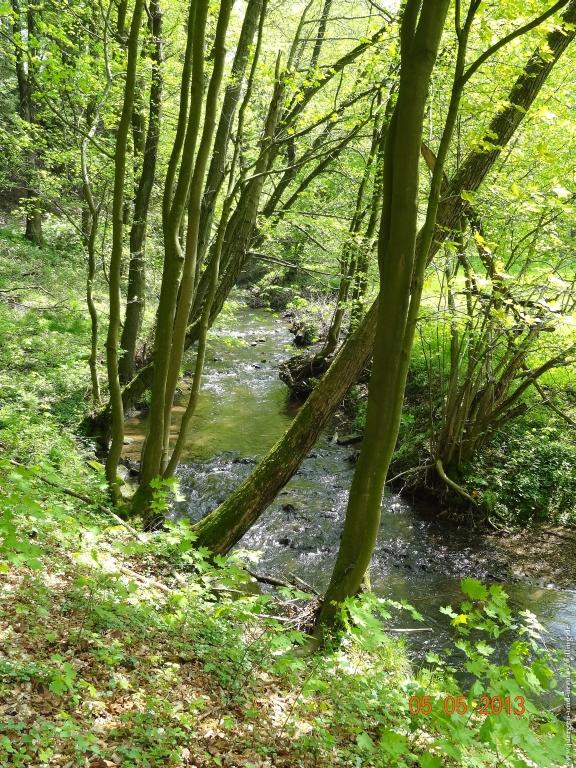 Philosophische Bildwanderung Modautaler Weitblickweg