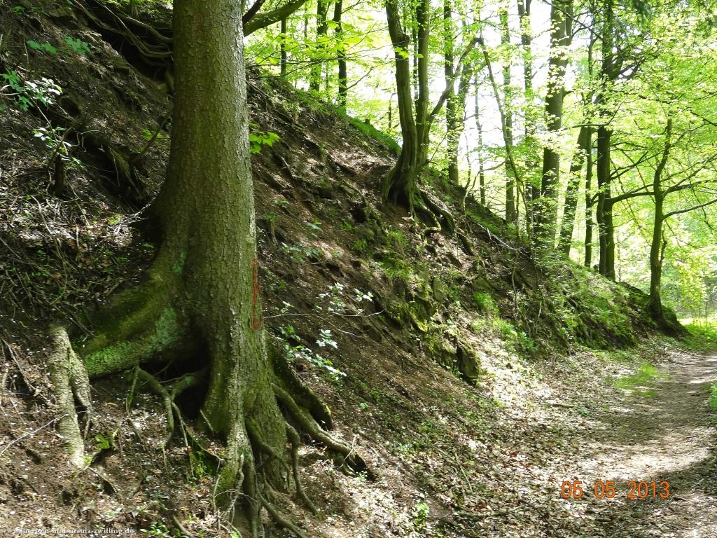 Philosophische Bildwanderung Modautaler Weitblickweg