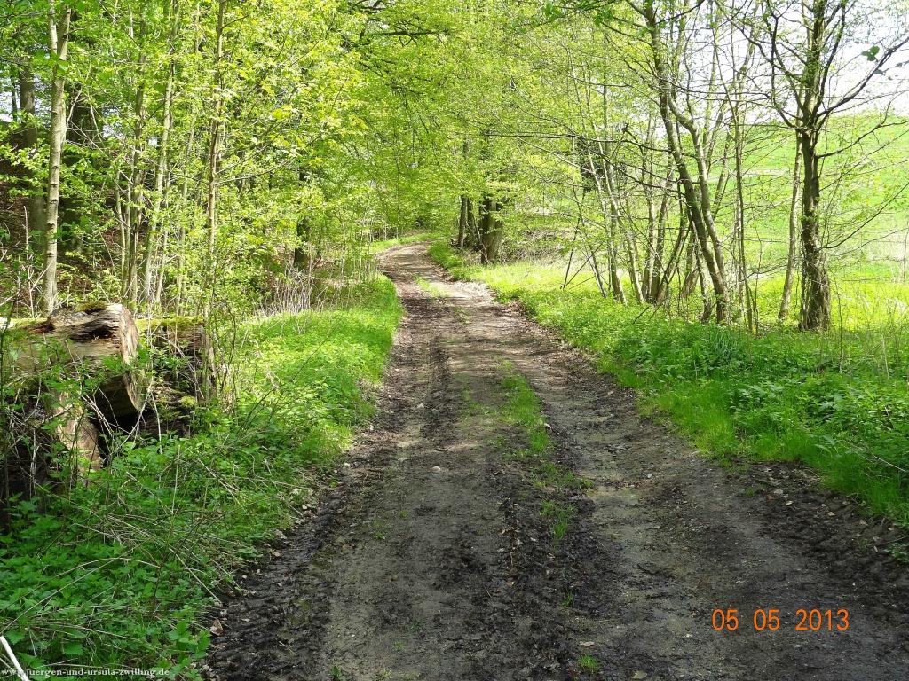 Philosophische Bildwanderung Modautaler Weitblickweg