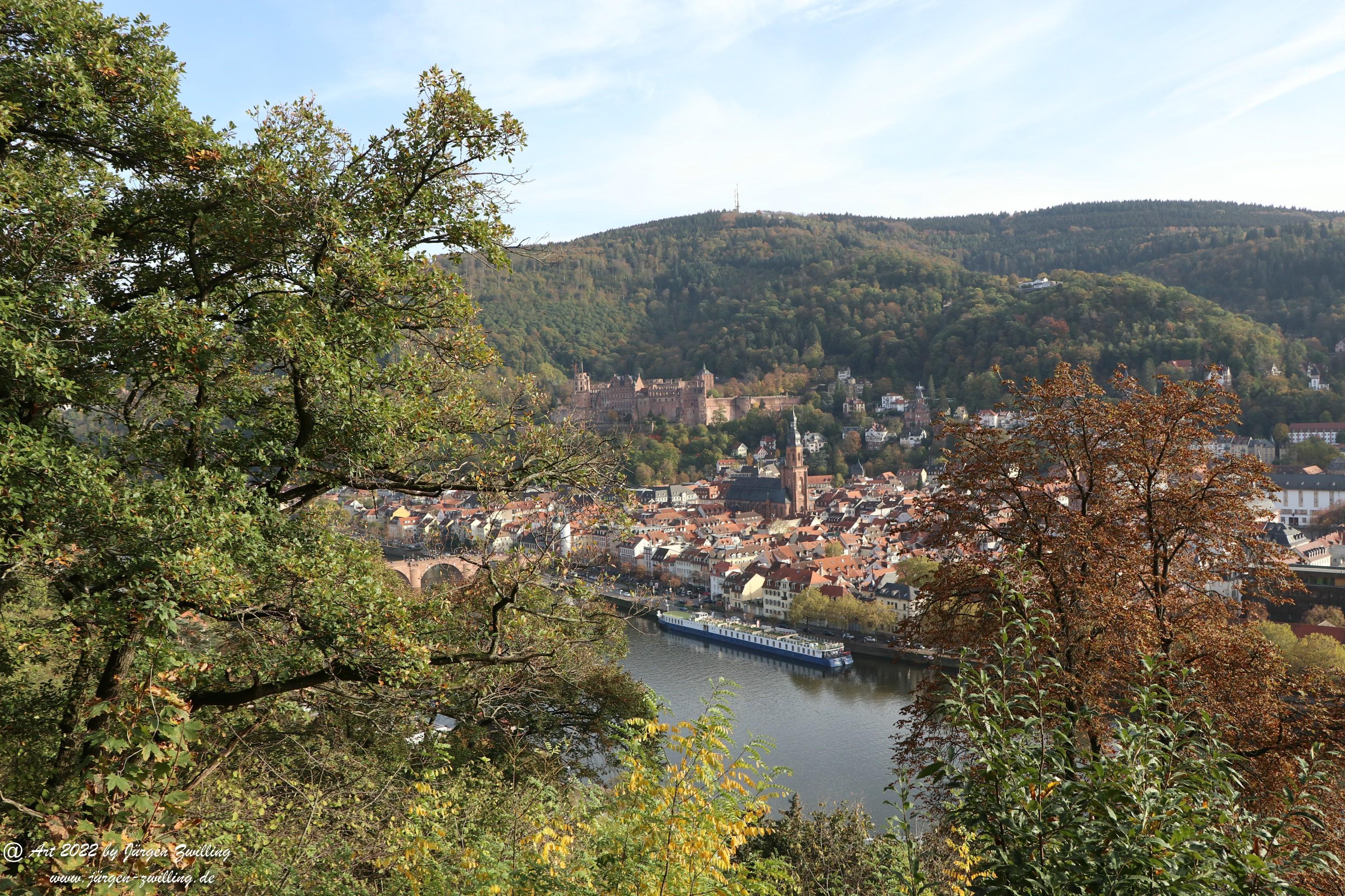 Heidelberg am Neckar 1