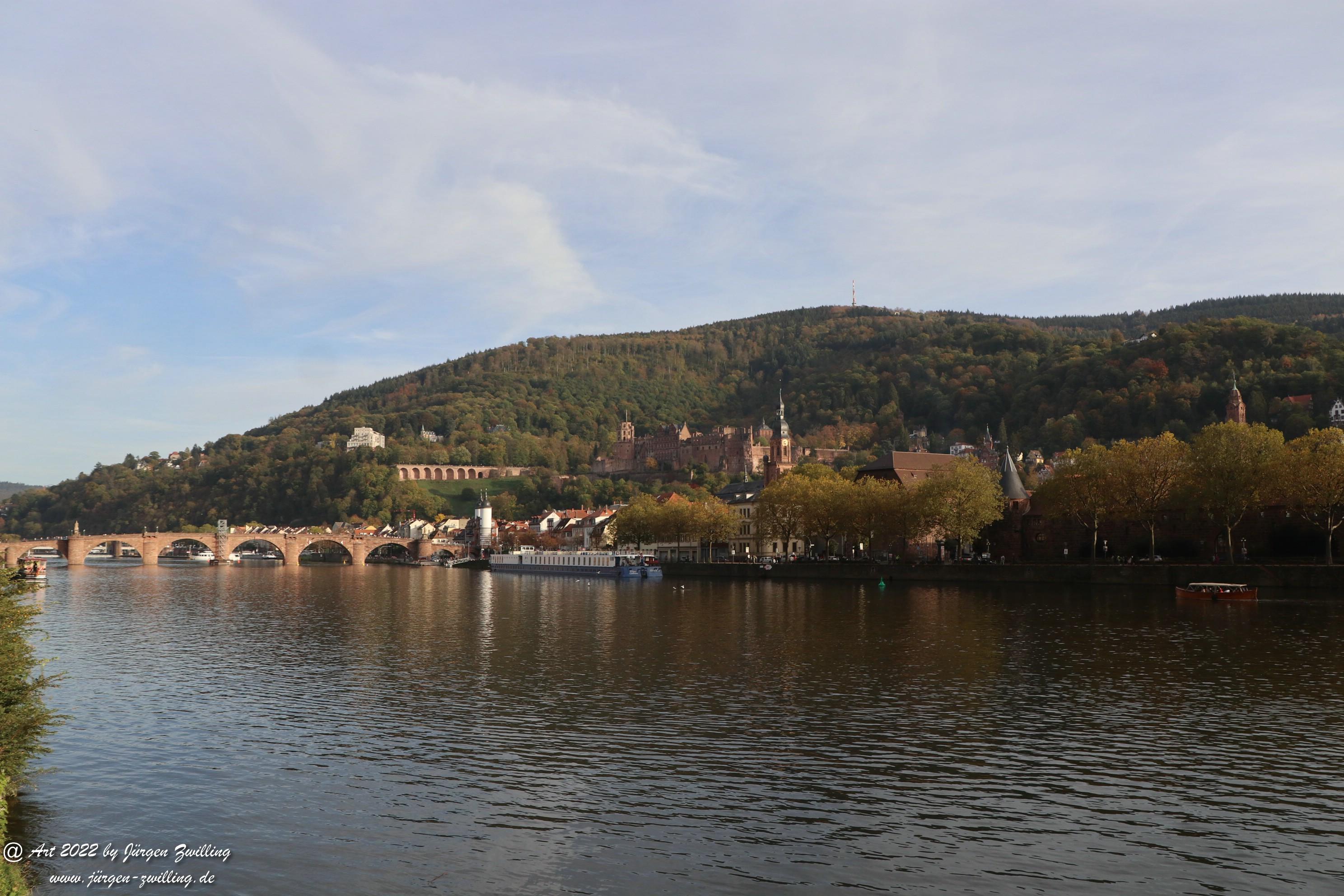 Heidelberg am Neckar 3