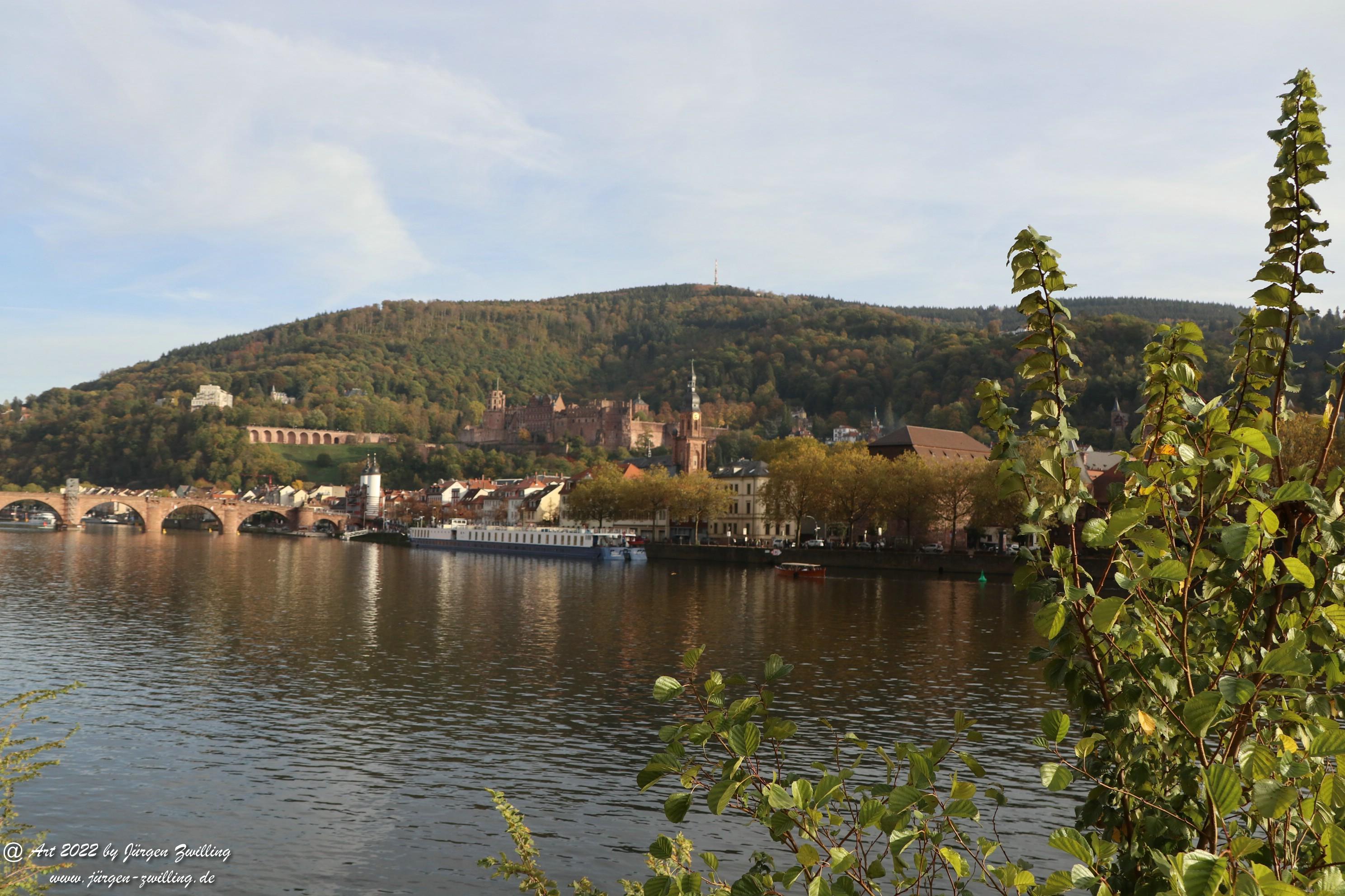 Heidelberg am Neckar 4