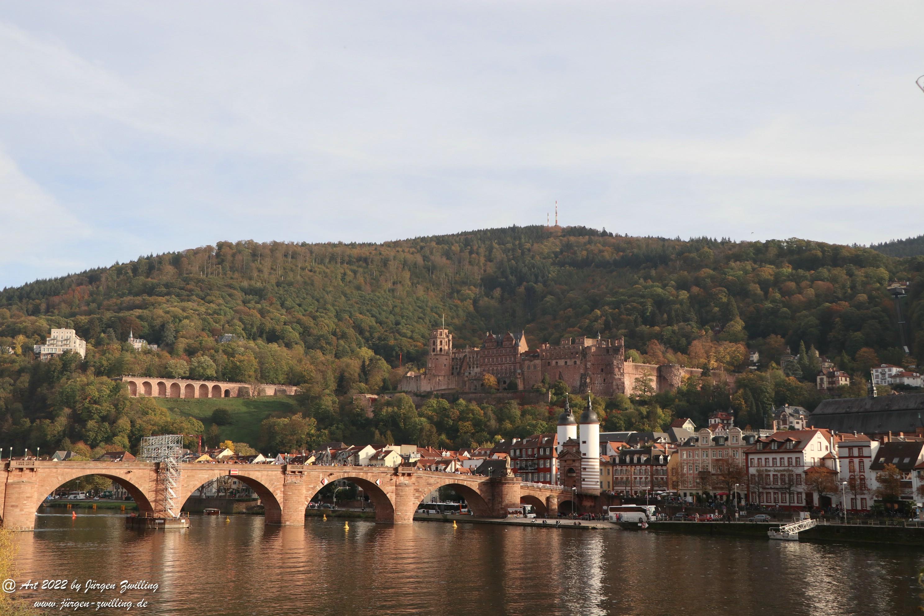 Heidelberg am Neckar 5