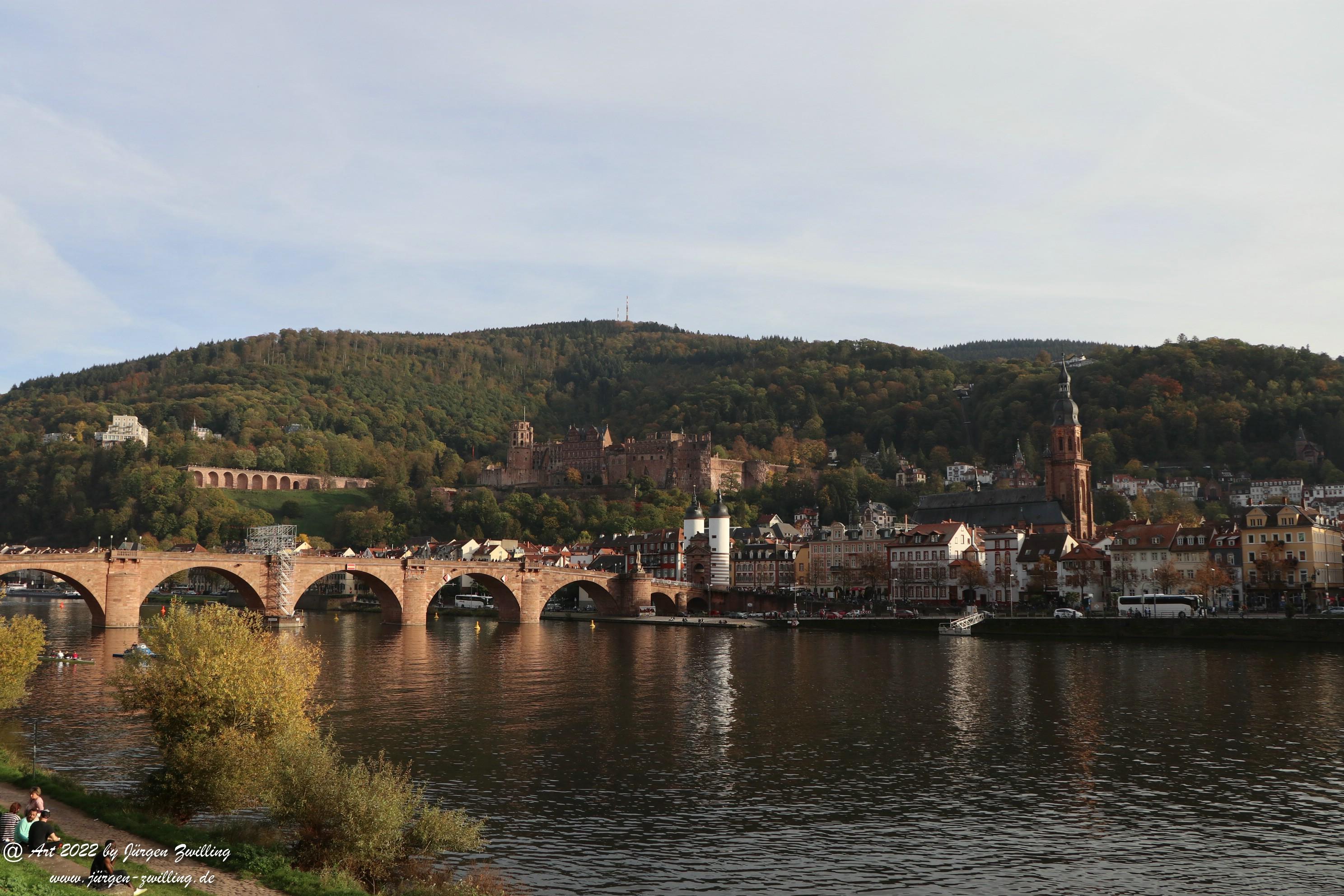 Heidelberg am Neckar 6