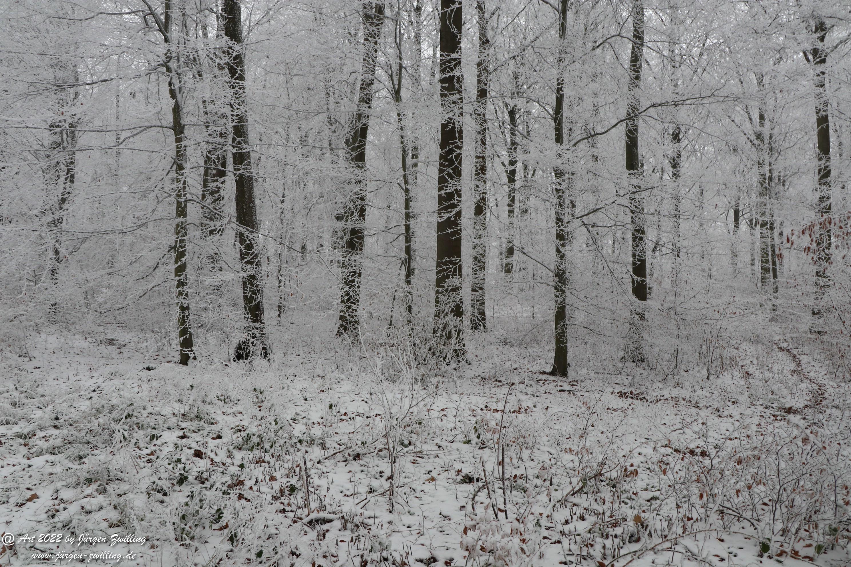 Winter Wonderland Rheinhessen 37