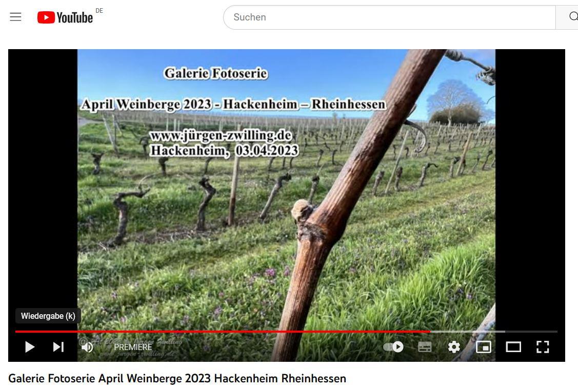 April Weinberge 2023 - Hackenheim - Rheinhessen