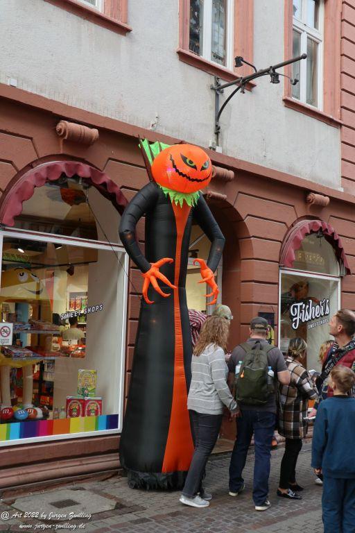 Heidelberg am Neckar