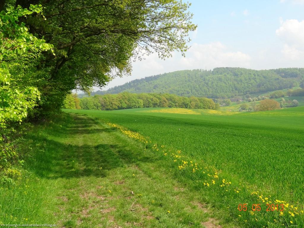 Philosophische Bildwanderung Modautaler Weitblickweg