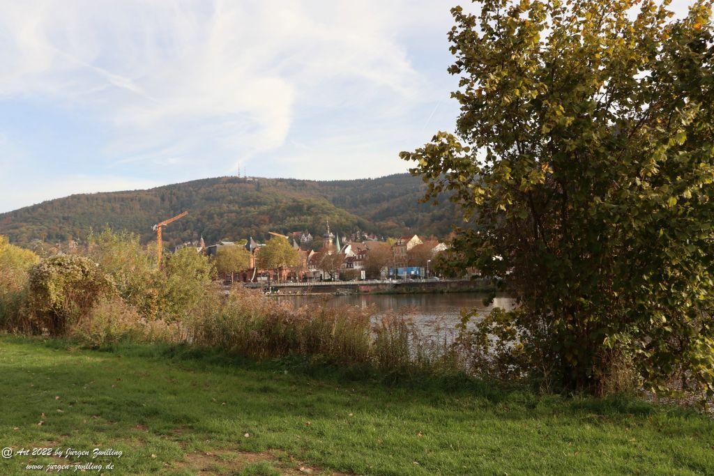 Heidelberg am Neckar