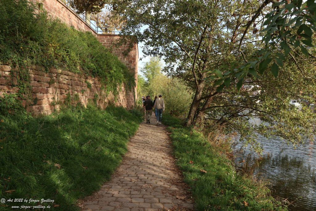 Heidelberg am Neckar