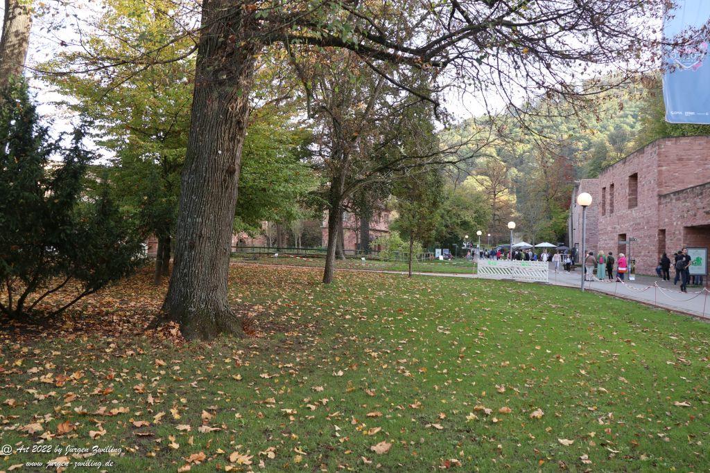Schloss Heidelberg - Schlangenweg - Philosophenweg