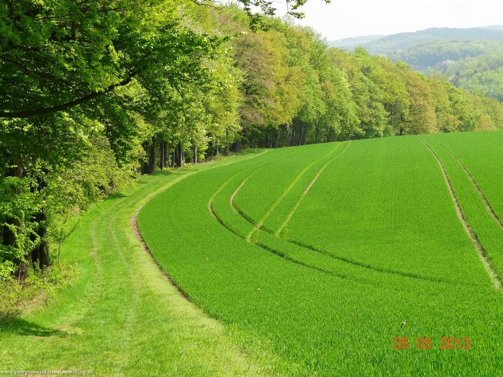 Philosophische Bildwanderung Modautaler Weitblickweg