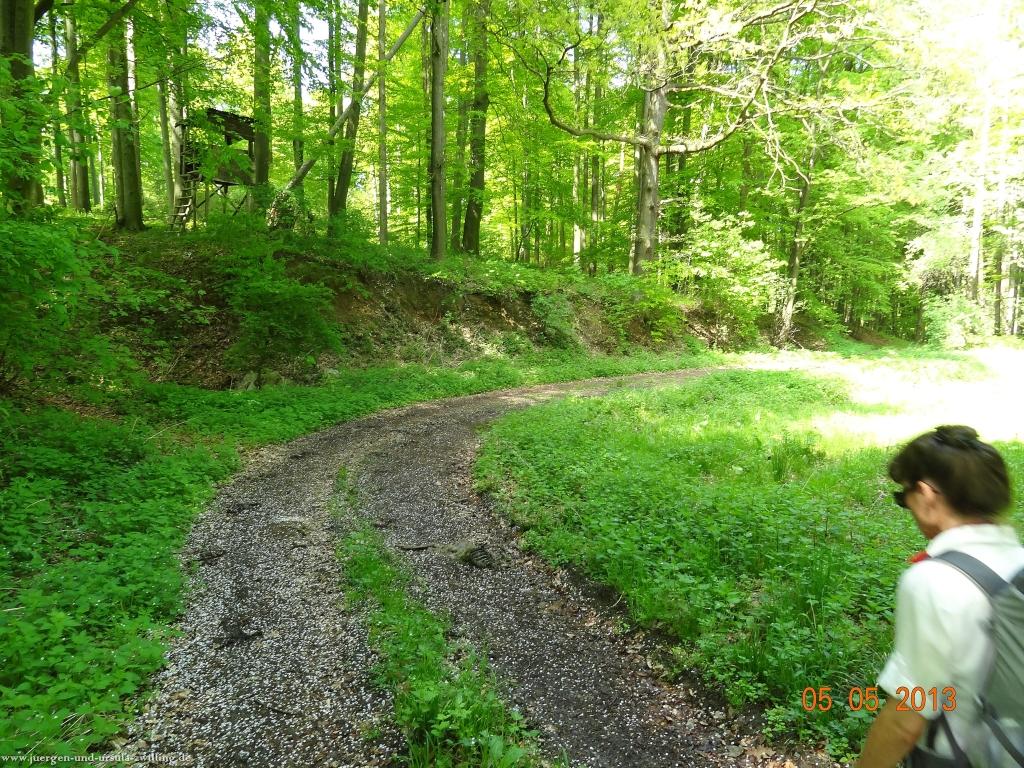 Philosophische Bildwanderung Modautaler Weitblickweg