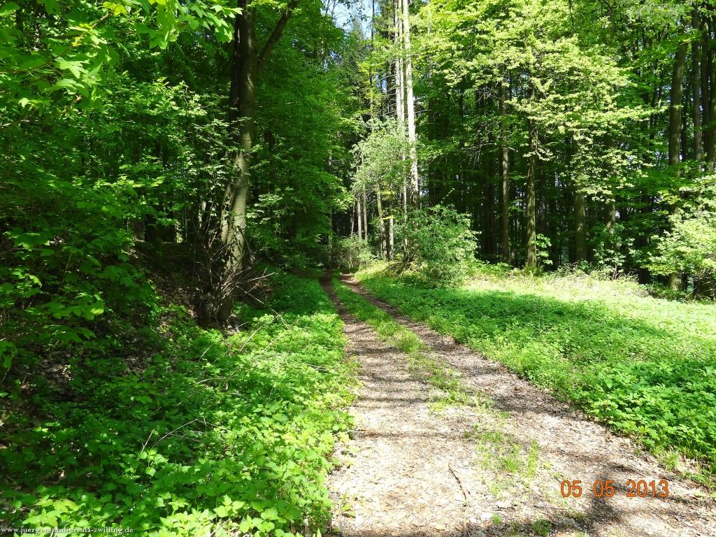 Philosophische Bildwanderung Modautaler Weitblickweg