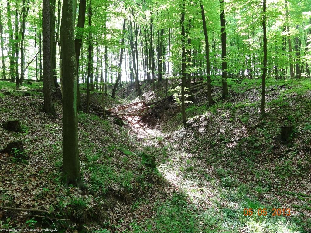 Philosophische Bildwanderung Modautaler Weitblickweg