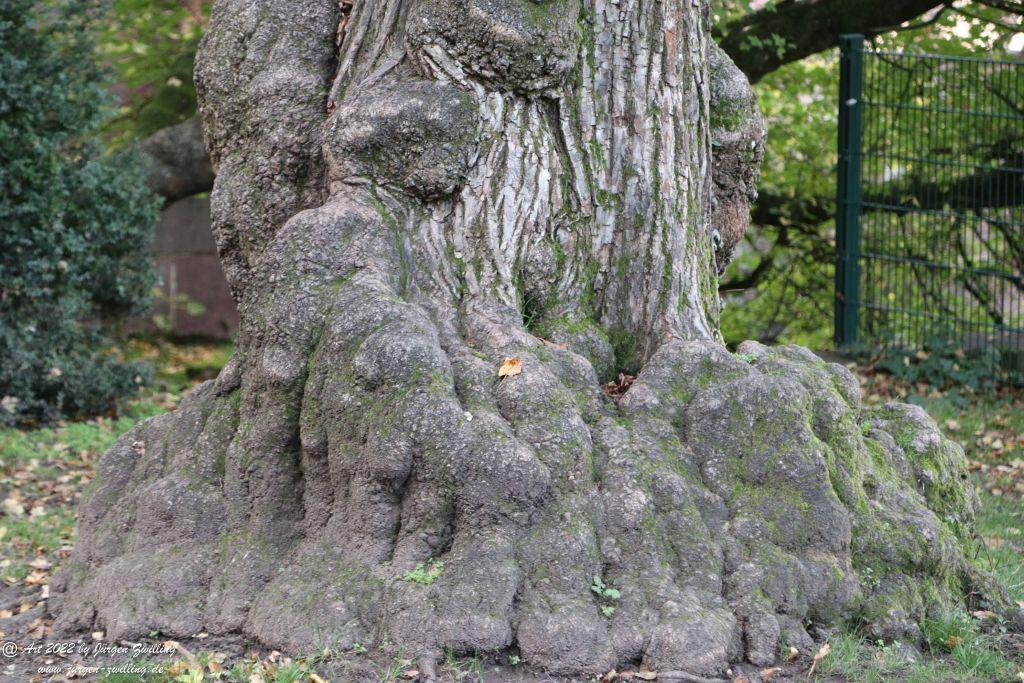 Schloss Heidelberg - Schlangenweg - Philosophenweg