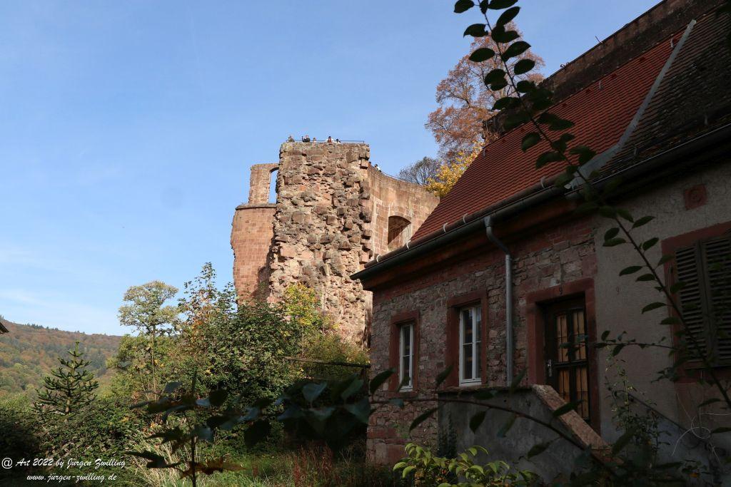 Schloss Heidelberg - Schlangenweg - Philosophenweg